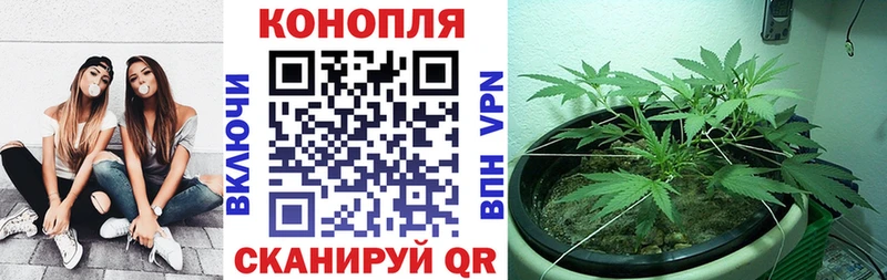 Марихуана Amnesia  Купить  Лукоянов 